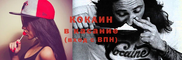 молекула духа Горняк