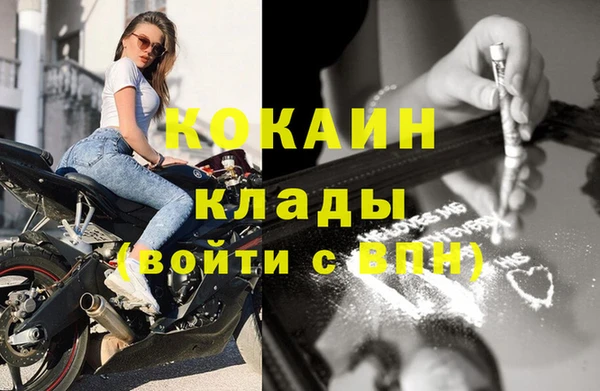 молекула духа Горняк