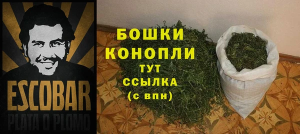 молекула духа Горняк