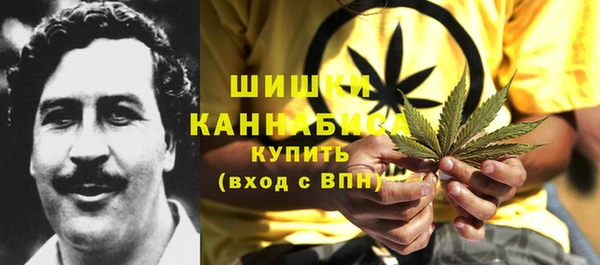 молекула духа Горняк