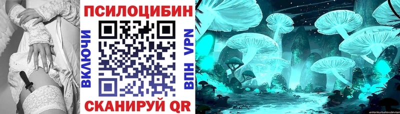 Купить Мончегорск Псилоцибиновые грибы GOLDEN TEACHER